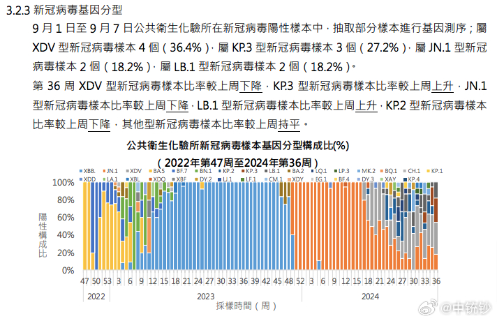 2024年新澳门王中王资料，综合数据解释落实_界面版9.80.70