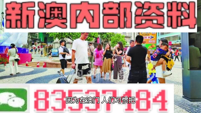 2024新澳精准资料大全，精细分析解释落实_云端版15.29.95